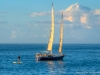 Paddling Out to Sea