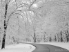 Powdered Roads