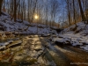 Winter Wonder